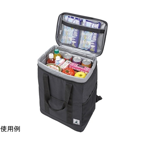 リュック型クーラーバッグ ブラック UE