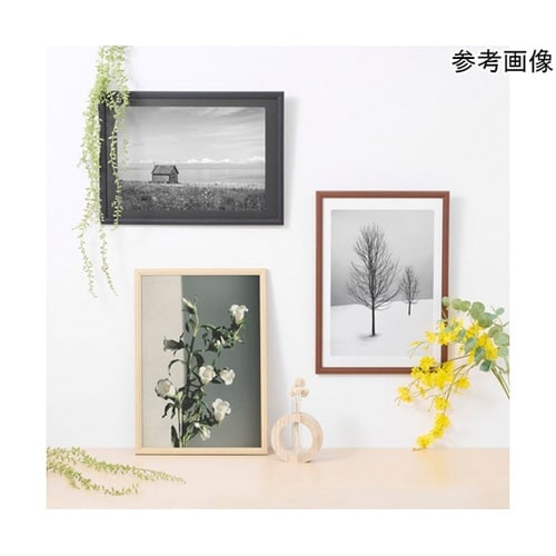 木製額 ピクスリアプラス A3 BR F