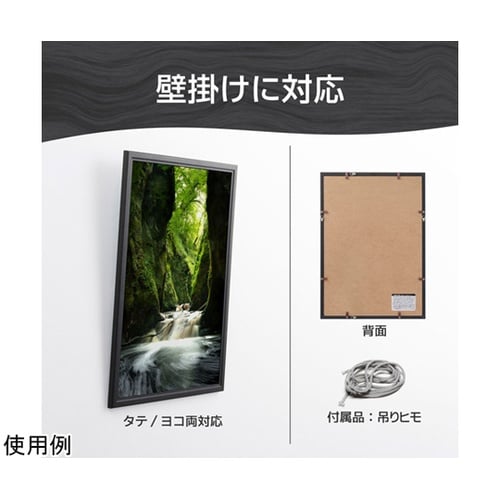 木製額 ピクスリアプラスA3ノビBK F