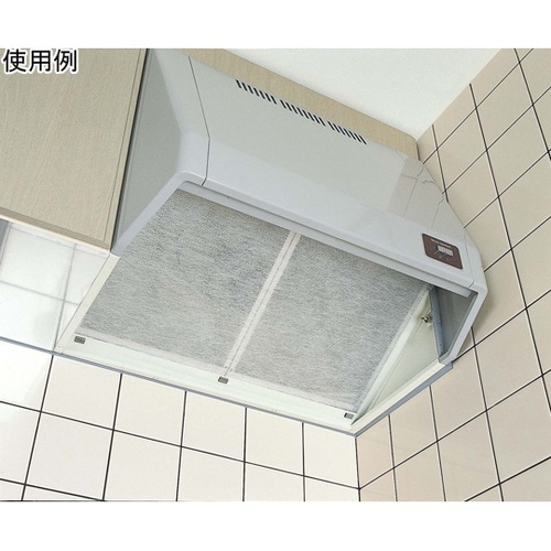 エコフレギュラー 厚み約2mm 幅100