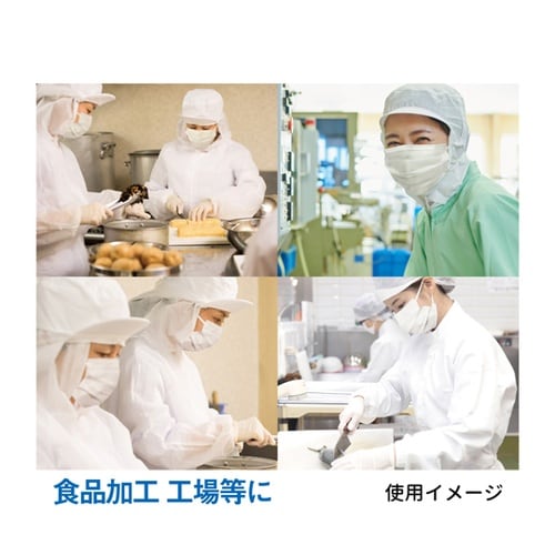業務用2層マスク 100枚入 フリーサイ