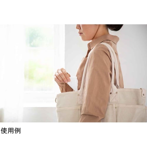 ゴミ袋 10L 48×26cm レジ袋