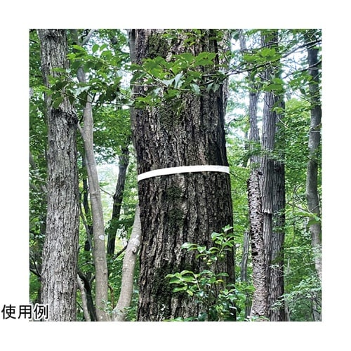 マーキングテープ ホワイト 15mm×5