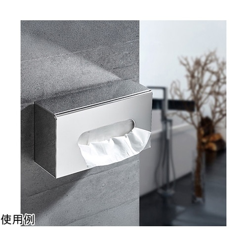 ステンレスティッシュケース 252×12