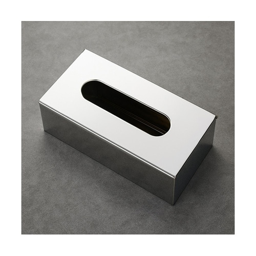 ステンレスティッシュケース 252×12