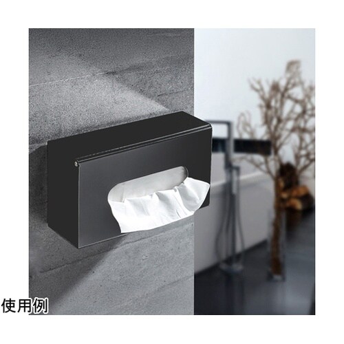 ステンレスティッシュケース 252×12