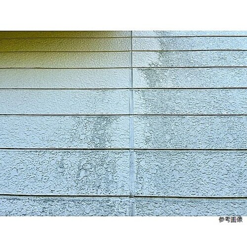 外壁ブラシF LL598