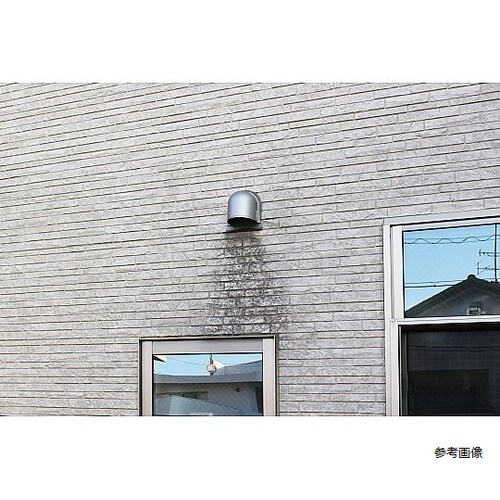 外壁ブラシF LL598