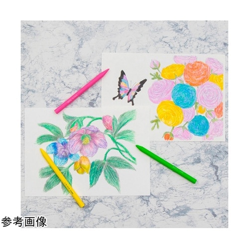 色鉛筆 パスティック セット 30色 G