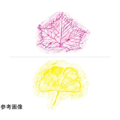 パス パッセル クリアラベル巻き セット