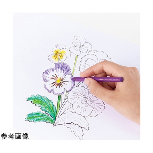 水彩色鉛筆 ヴィスタージュ 水彩スティッ