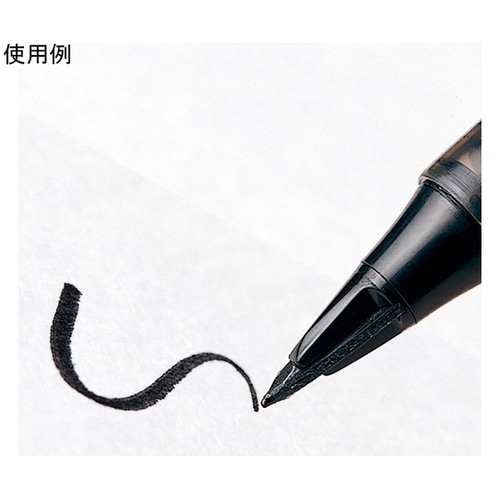 水性ペン トラディオプラマン 黒 パック