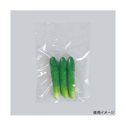 ローデンポリ袋 ニューポリ袋 02 No