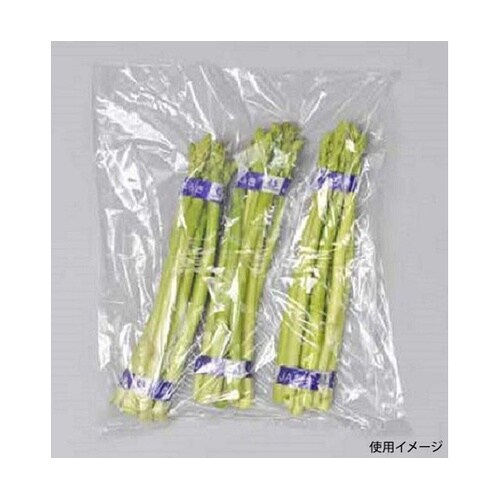 ハイデンポリ袋 透明ポリティッシュBOX