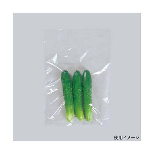 ローデンポリ袋 ニューポリ袋 02 No