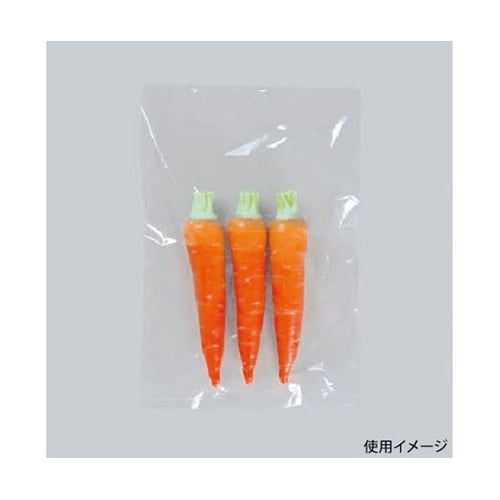 ローデンポリ袋 ニューポリ袋 02 No