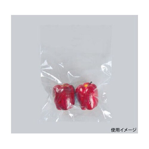 ローデンポリ袋 ニューポリ袋 02 No