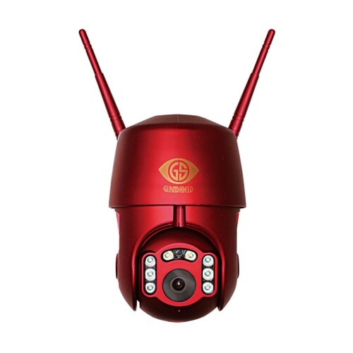 GS−DVYPTZ−101 ボットアイ