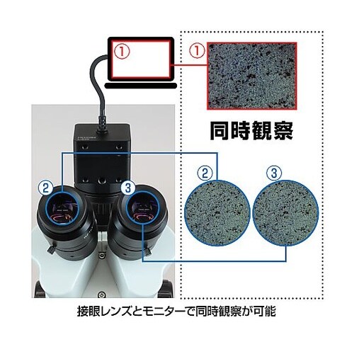 三眼実体顕微鏡(PC用・PD−1付)30
