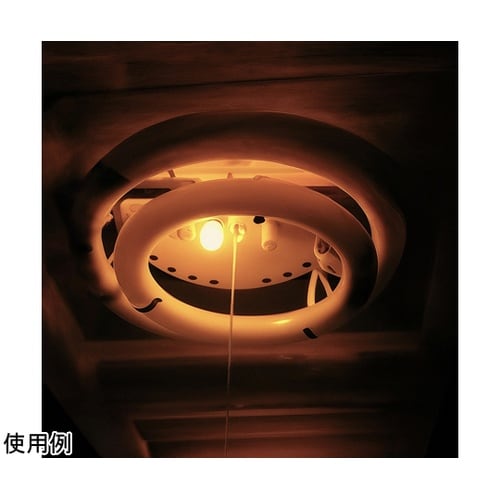 LEDミニナツメキュウ デンキュウショク