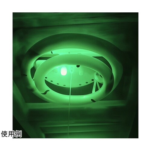 LEDミニナツメキュウ ミドリイロ E1