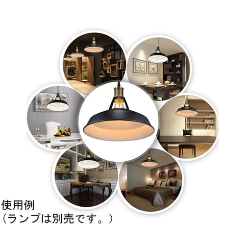 真鍮黒ペンダントライト器具(ランプ別売り