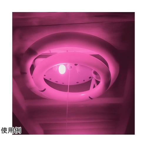 LEDミニナツメキュウ ピンクイロ E1