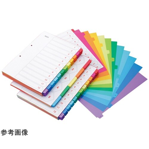 PPカラーインデックス A4 縦 12色