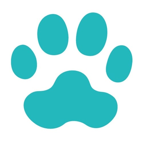 クラフトパンチ小N アシアト−A CP−