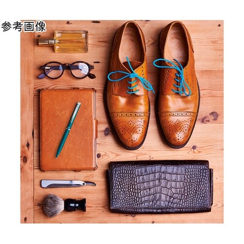 ゲルインキボールペン エナージェル フィ