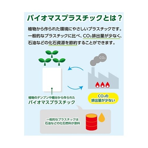 色鉛筆 パスティック バイオマスケース