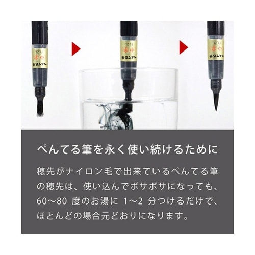筆ペン 墨液ぺんてる筆 顔料インキ 中字