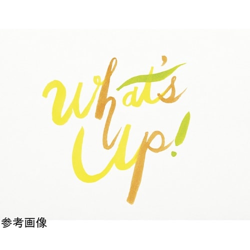 カラー筆ペン アートブラッシュ 蛍光オレ