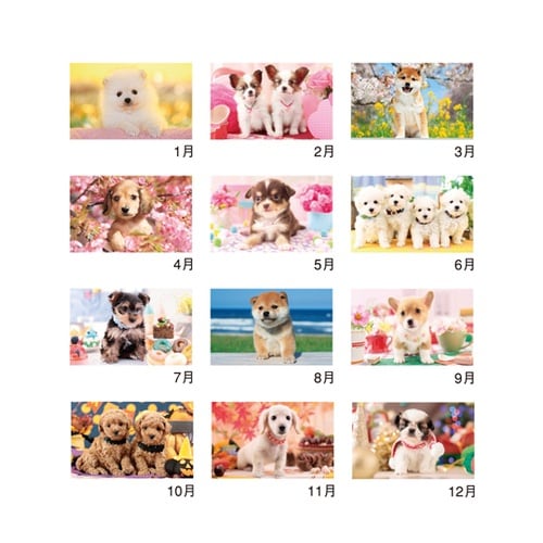 サンキュー・ドッグ NK454