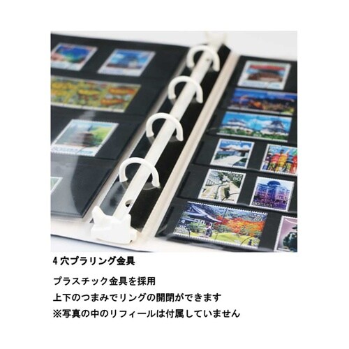 コレクションアルバム B5 茶 CA−3