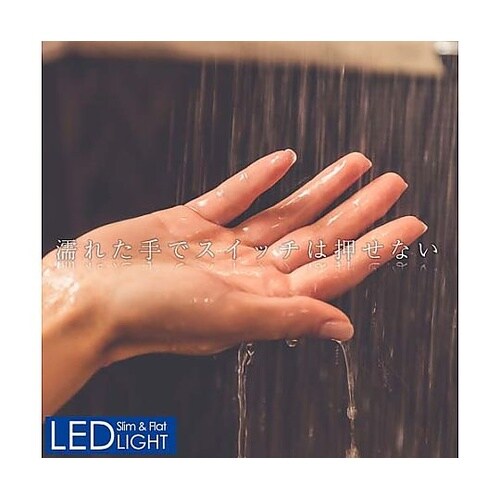 AC100V/20.0W 照明灯/LED