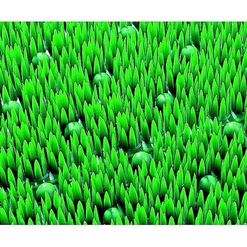 900×1500mm 泥落としマット(緑