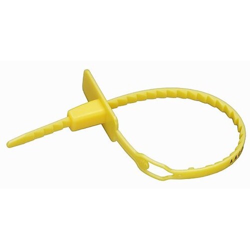 封印セキュリティータイ(100本) EA