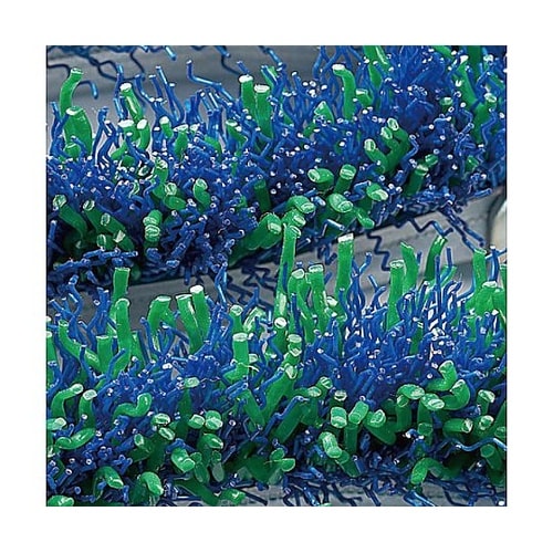 600x 900mm 泥落しマット(粗泥