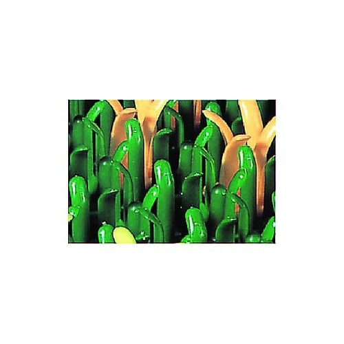 450x747mm 足拭きマット(泥落と