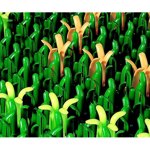 450x747mm 足拭きマット(泥落と