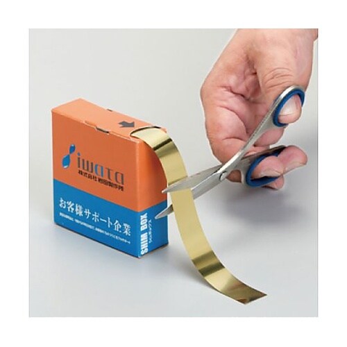 0.10x100mm/2.0m シム(ス