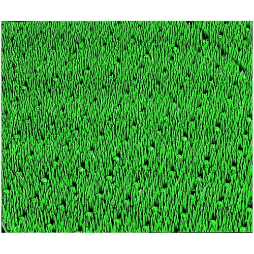 600×900mm 泥落としマット(緑)