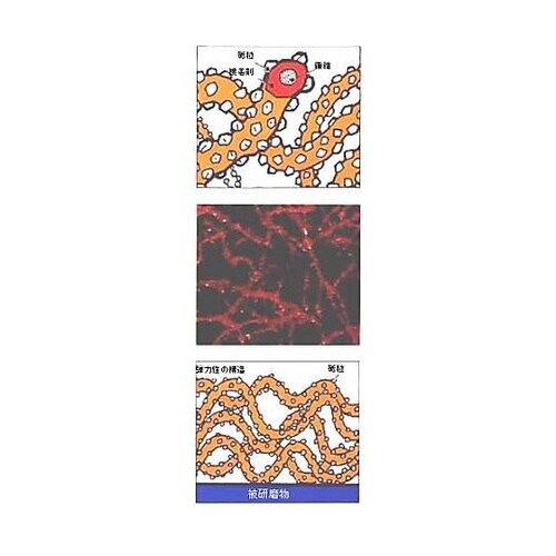 250x150x30mm/ #40 マジ