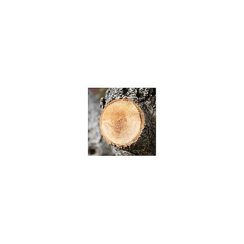 480mm/300mm 生木鋸(サヤ付・