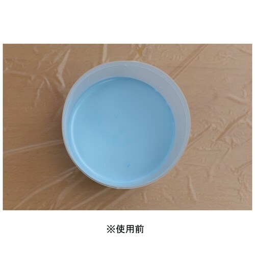 AP9018180 塗料固化剤 500G