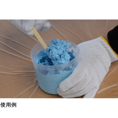 AP9018180 塗料固化剤 500G