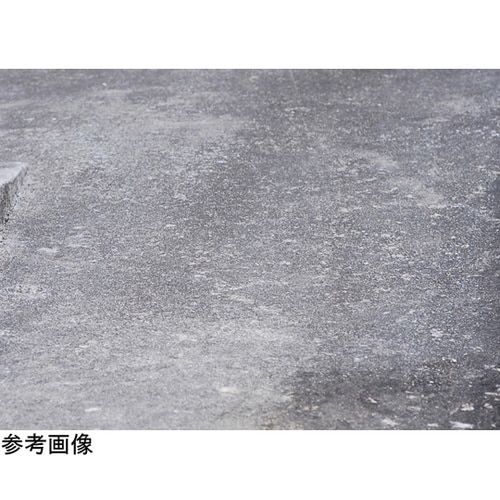 エポキシ強力防水塗料 シーラー 1kg