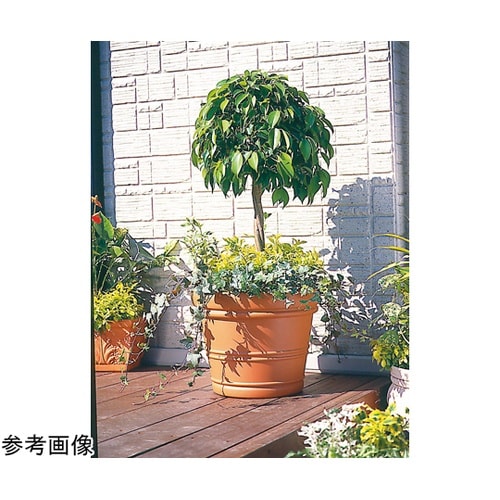 バレンシアポット 20号 ブラウン