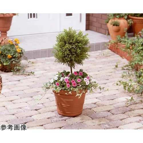 バレンシアポット 20号 ブラウン